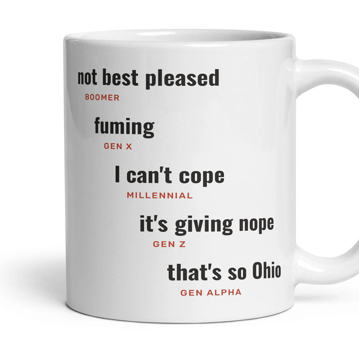 Being annoyed: not best pleased, fuming, I can't cope, it's giving nope, that's so Ohio mug, 11oz white ceramic, handle right