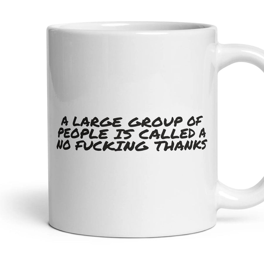 A LARGE GROUP OF PEOPLE IS CALLED A NO FUCKING THANKS mug, 11oz white ceramic, handle right