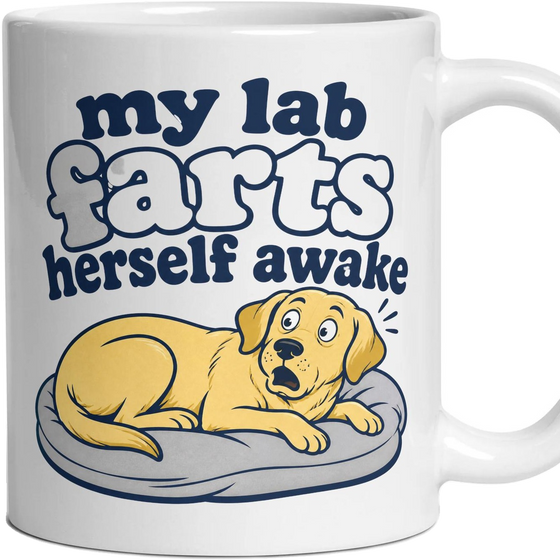 my lab farts herself awake